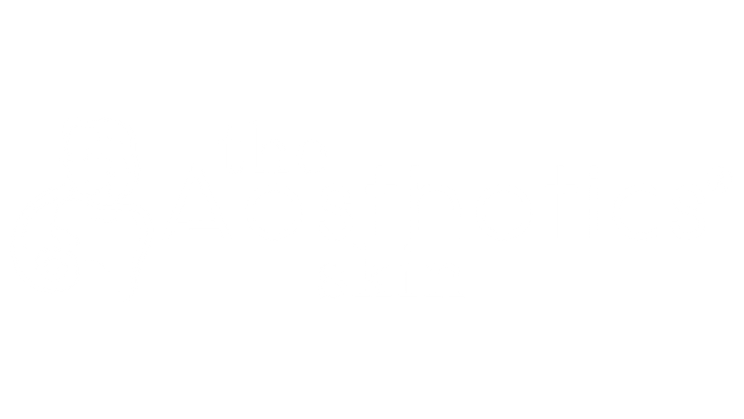 Aesthetics Skin logo