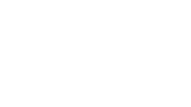 The Aesthetics Skin Logo